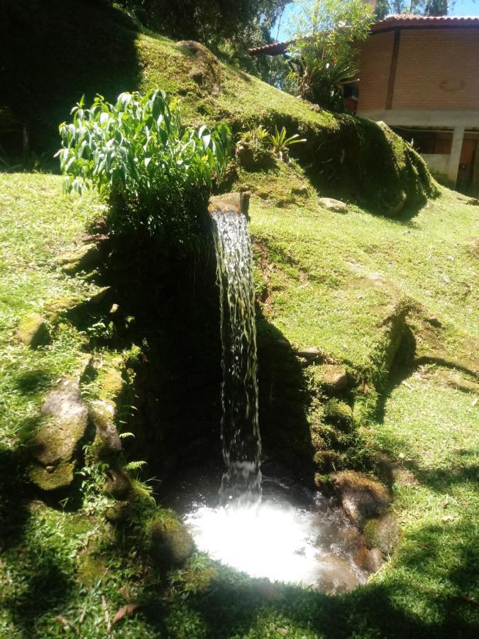 Chale Truta Da Floresta Visconde de Mauá Exteriér fotografie