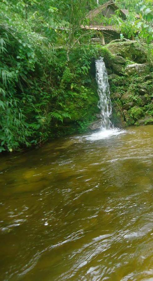 Chale Truta Da Floresta Visconde de Mauá Exteriér fotografie